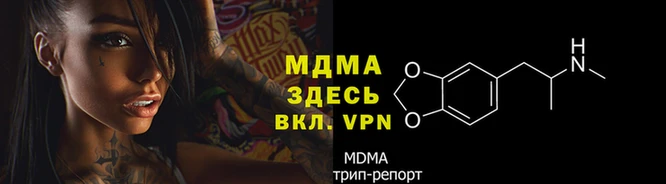 эйфоретик Бородино