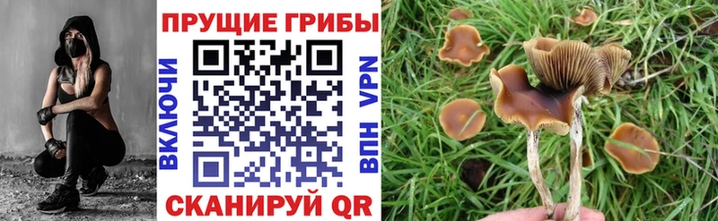 Псилоцибиновые грибы прущие грибы  Семёнов 